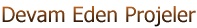 Devam Eden Projeler